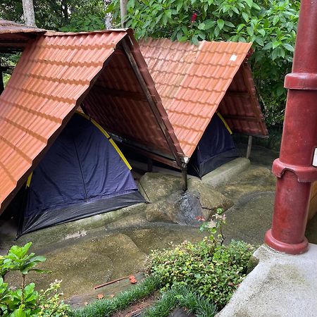 Ready Camp E Suites Da Cachoeira イーリャ・グランデ エクステリア 写真